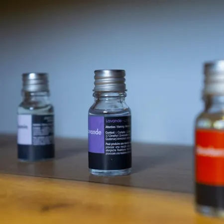 Apartament Luxury Milicevic