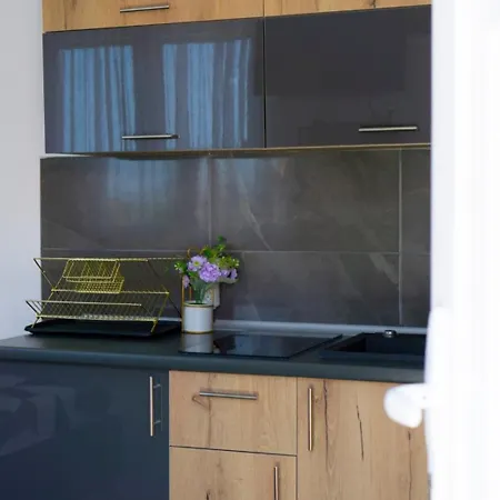 Luxury Milicevic 아파트 *