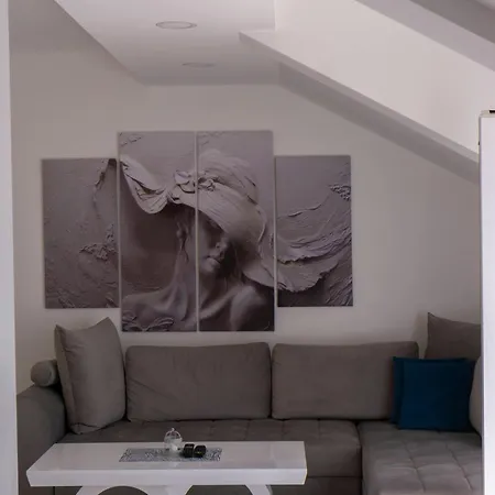 Luxury Milicevic 아파트 *